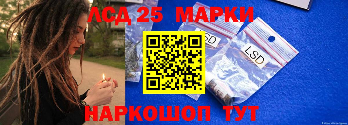 Псилоцибиновые грибы Дедовск