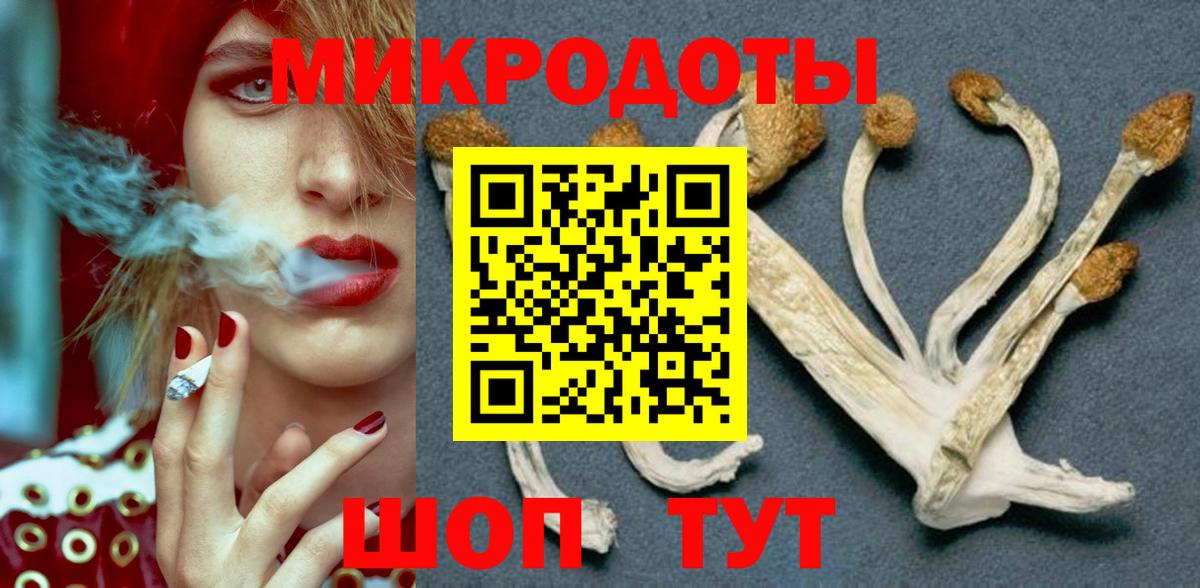 Галлюциногенные грибы Psilocybine cubensis Дедовск